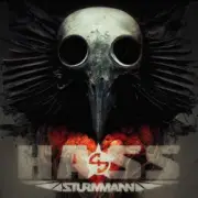 Обложка: Sturmmann - Hass