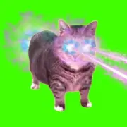 Обложка: XertXetin - OIIA OIIA COSMIC CAT (Slowed)