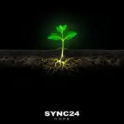Обложка: SYNC24 feat. Ester Nannmark - Disconnected