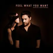 Обложка: Phonique & Rebecca - Feel What You Want (Fairplay Remix)