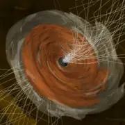 Обложка: Wellenfeld - Black Hole