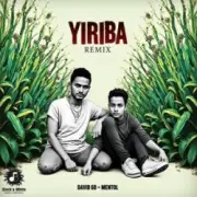 Обложка: David 6D & Mentol - Yiriba (Remix)