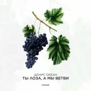 Обложка: Денис Океан - Ты Лоза, а мы ветви