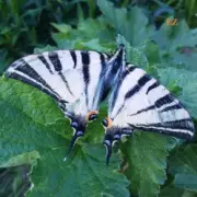 EiZ - В облаках