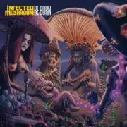 Обложка: Infected Mushroom - UMF Radio