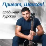 Обложка: Владимир Курский - Волчица