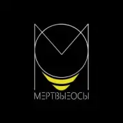Обложка: Мёртвые осы - Ведьма