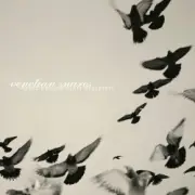 Обложка: Venetian Snares - Swindon