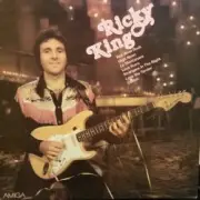 Обложка: Ricky King - Strangers in the Night