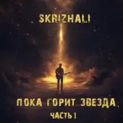 Обложка: Skrizhali - Солнечный день (акустика)