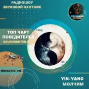 Yin-Yang - Молчим
