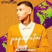 Обложка: Stromae - papaoutai (Dj Dark Remix)