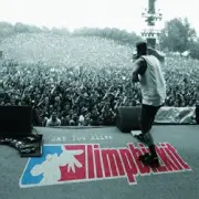 Обложка: Limp Bizkit - Eat You Alive (Edit)