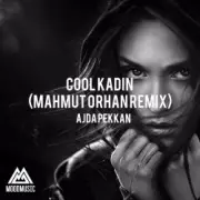 Обложка: Ajda Pekkan - Cool Kadın (Mahmut Orhan Remix)