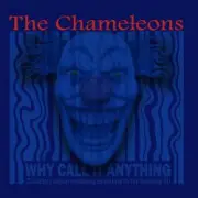 Обложка: The Chameleons - Indiana