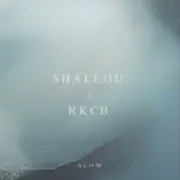 Обложка: Shallou - Slow