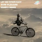 Обложка: Rare Pleasure - Let Me Down Easy