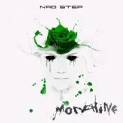 Обложка: Nad Step - The Stranger