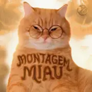 Обложка: Lenar & Leonardo P - Montagem Miau - Slowed